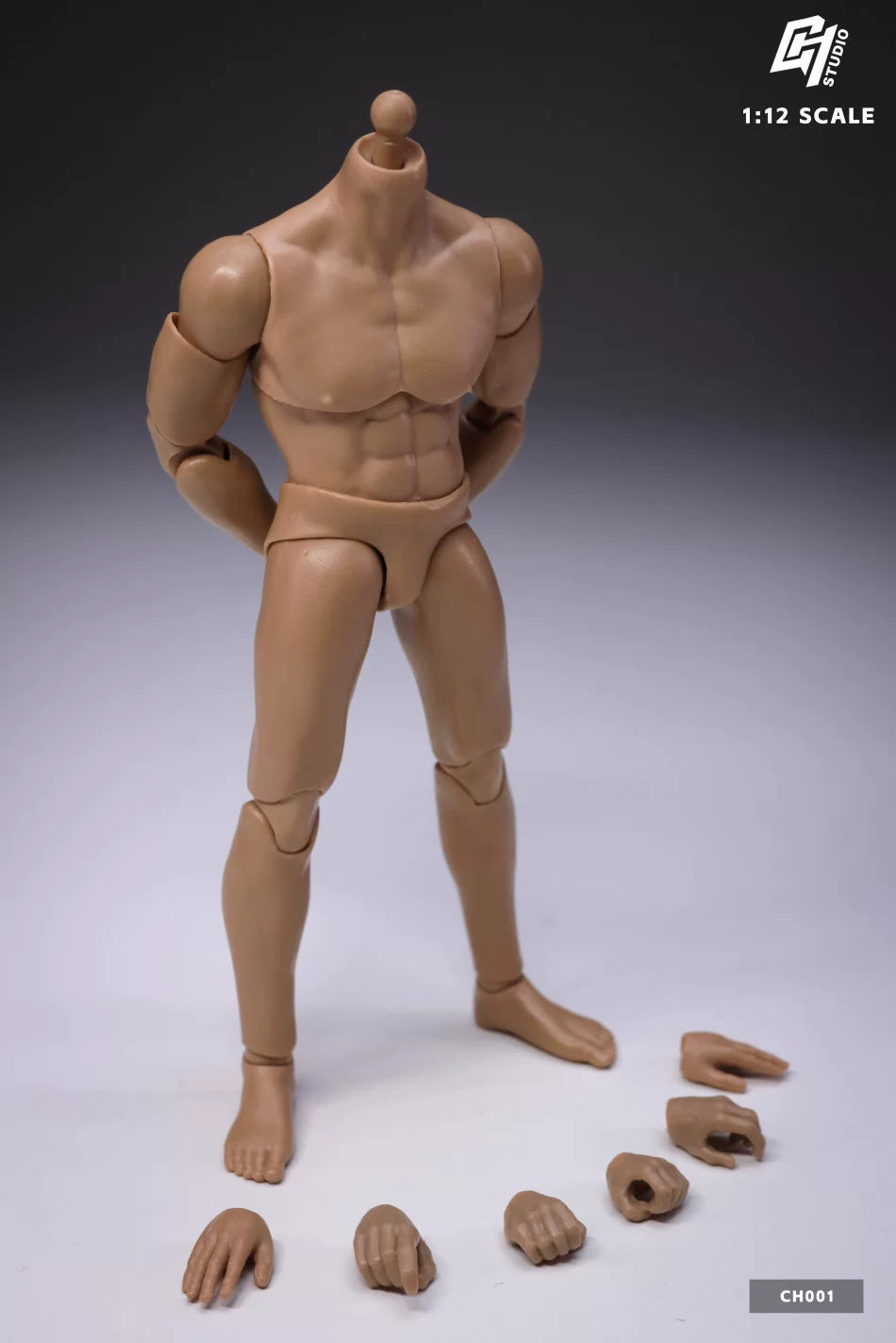 1/12 Bodies