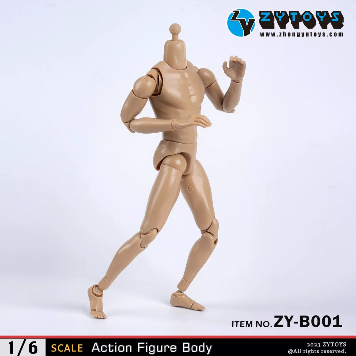 1/6 Bodies